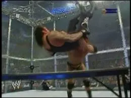 Quel est ce finisher ?