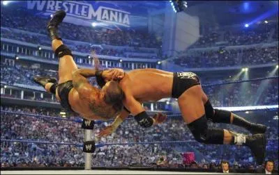 Quel est ce finisher ?