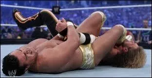 Quel est ce finisher ?