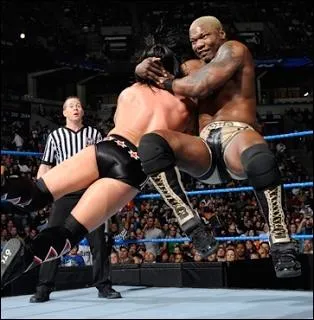 Quel est ce finisher ?