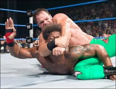 Quel est ce finisher ?