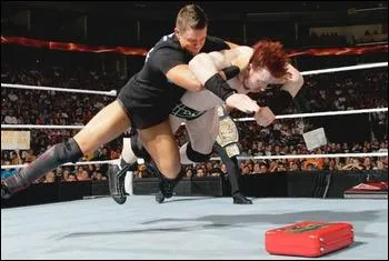 Quel est ce finisher ?