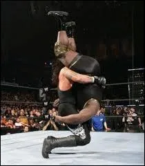 Quel est ce finisher ?