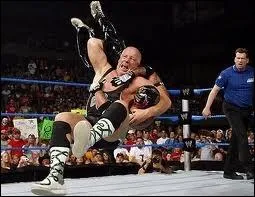 Quel est ce finisher ?