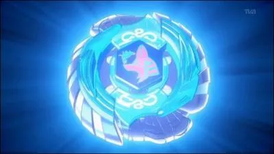 Comment s'appelle le propritaire de cette toupie ?