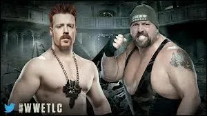 World Heavyweight Championship, Chairs Match, Big Show VS Sheamus, qui gagne ?
