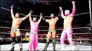 5 VS 5 Tradionnel Survivor Series Match, Rey Mysterio, Sin Cara, Brodus Clay, Justin Gabriel et Tyson Kidd VS The Prime Time Players, Tensa, Epico et Primo, qui gagne ?