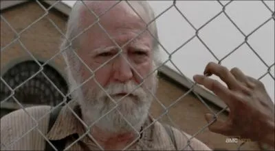 Que doit se couper Hershel  cause des suites d'une morsure ?
