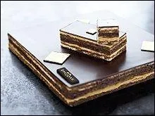 Gteau au chocolat et au caf fait d'une successions de biscuits imbibs de sirop de Grand Marnier ou cointreau, quel est ce gteau ?