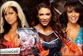 Eve Torres VS Kaitlyn VS Layla