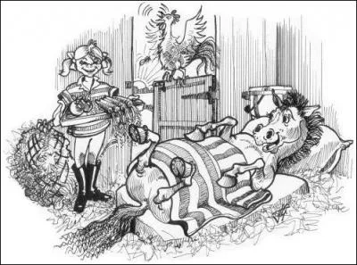 Avant de monter sur mon poney, je ne dois pas oublier :