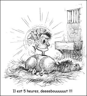 Un cheval Alezan a :