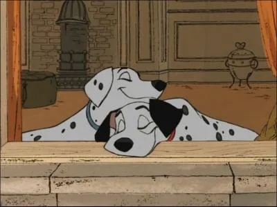 Quels sont les noms de ces deux ravissants dalmatiens ?