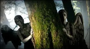 O sont les anges sur cette photo ?