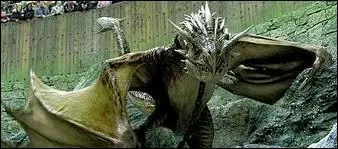 Quelle est la race du dragon (photo) qu'Harry Potter doit affronter dans la coupe de feu ?