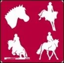 Dans quel ordre utilisez-vous les brosses pour le pansage de votre poney ?