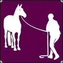 Lorsque je trotte sur le bon diagonale, piste  main droite, je m'assois quand l'antrieur droit est :