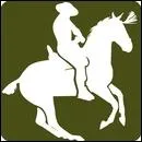 Parmi ces trois disciplines, laquelle n'est pas une discipline questre ?