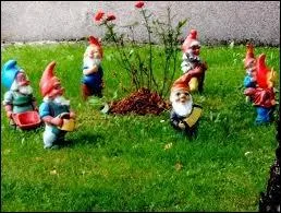 Comment appelle-t-on un collectionneur de nains de jardin ?