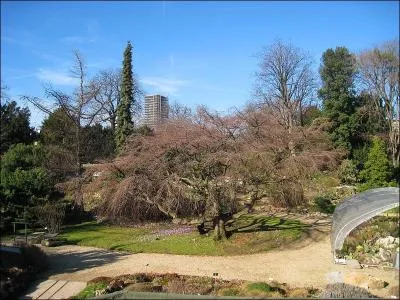 Quel crivain reprsentant du Nouveau Roman s'est promen dans  Le jardin des plantes  aprs avoir emprunt  La route des Flandres  ?
