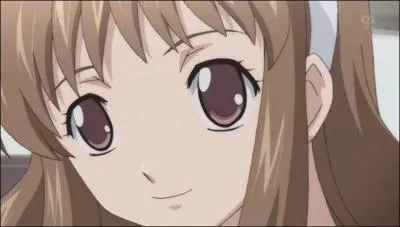 Qui est le frre de Megumi ?