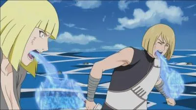 Que fait cette arme ?