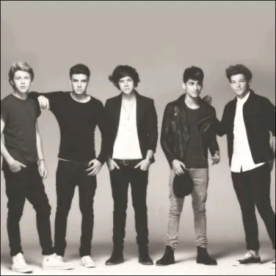 Comment s'appelle la chanson reprise par les One Direction pour Red Nose Day ?