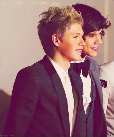 La bromance d'Harry et Niall est :