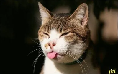 L'expression "peu lui chaut", ne s'emploie pas fréquemment. Quelle est sa signification ?