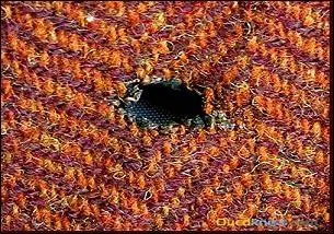 En toute chose, il faut savoir raison garder. Les temps sont durs, je ne peux remplacer ma jupe. Il va falloir rentraire l'accroc.