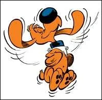 Comment se nomme ce cocker ?