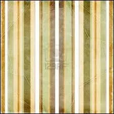 Le mot commence par : O...