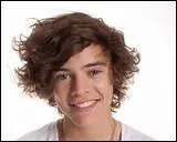 Harry a travaill pendant plus que deux ans dans... . .