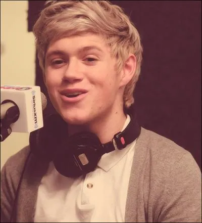 Quel titre de l'album Up All night a-t-il crit tout seul ?