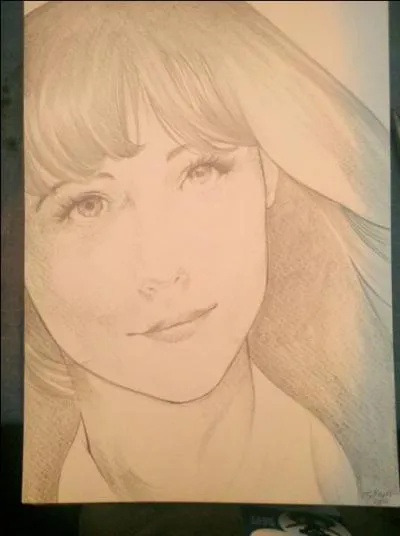 O se droule le festival de BD  Quai des bulles  ?