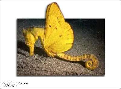 Avec qui le papillon s'est-il permis des familiarits ?