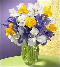 Voici Jeffcoop avec un magnifique bouquet :