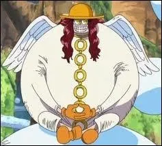 Quel surnom lui donne Luffy ?