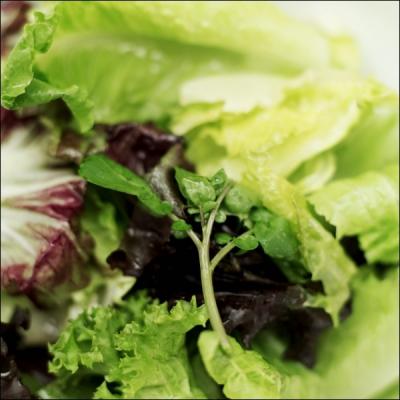 Que signifie   fatiguer une salade  ?