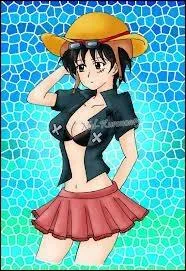 Qui est-ce ? (One piece)