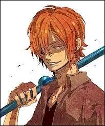 Qui est-ce ? (Navigatrice)