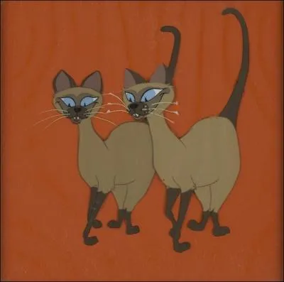 Quelle Belle partage sa maison avec des siamois ?