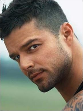 Ricky Martin participe  une mission de tl-crochet. Laquelle ?