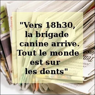 Les journaux m'accusent de dire des conneries, je vais vous dire les (... ) : "Le mystère de la femme (... ) en morceaux reste (... ). " "La victime avait un trou de (... ) en bas du dos. "
