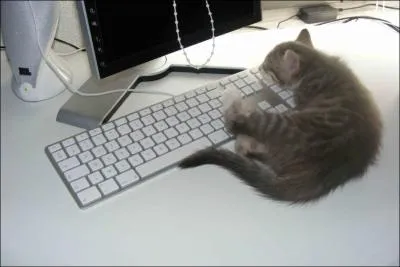 Complétez : Je me suis fait un copain dans l'administration. Il m'a dit : "mon vieux, si je (... ) te donner un conseil, ne (... ) pas le matin sans ça tu ne sauras pas quoi faire cet après-midi".