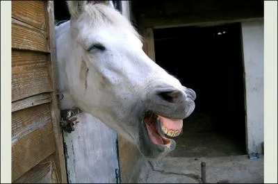 Comment devrait-on écrire ce mot si on suit la réforme de 1990 ?