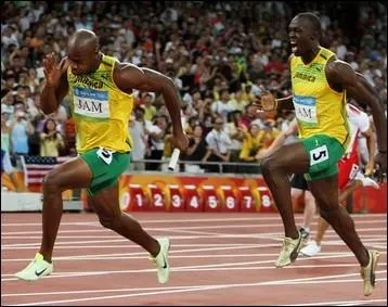 Si ce quiz vous donne des idées, n'hésitez pas à prendre le...