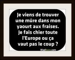 J'espère qu'après ce quiz, vous n'allez pas me prendre pour un...