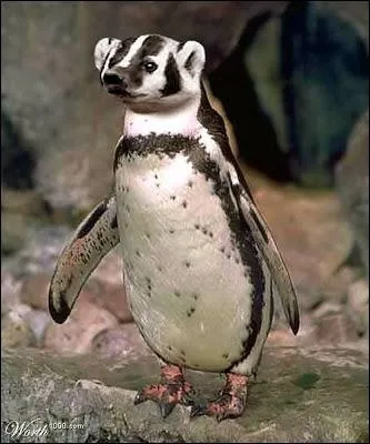 Si vous ne voulez pas passer pour l'un des deux, trouvez la rponse !