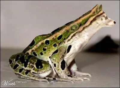 Mais qu'ont-ils bien pu faire pour en arriver l ?